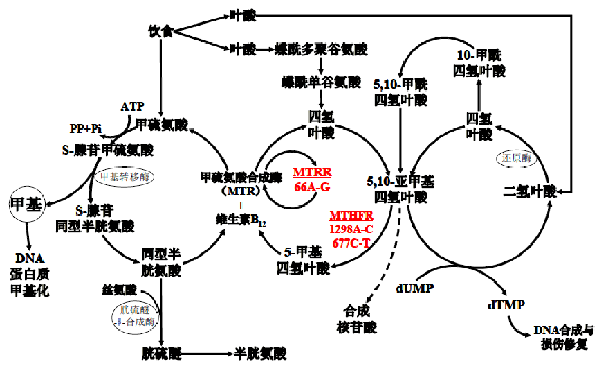 ʱ - ǲ!